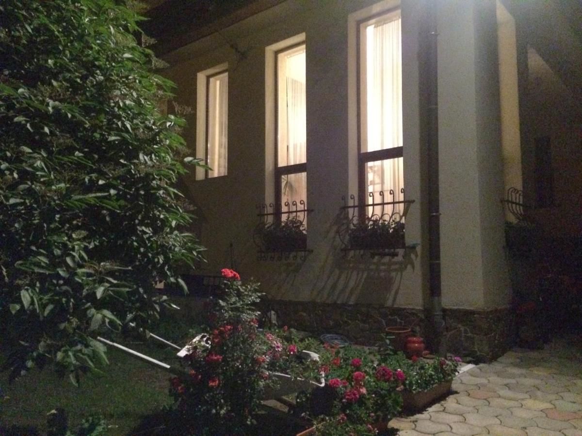 Гостевой дом Casa Lecca Сибиу-46
