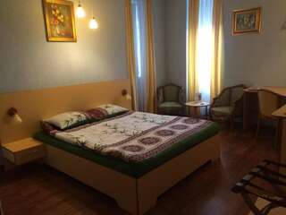 Гостевой дом Casa Lecca Сибиу Двухместный номер с 1 кроватью-4