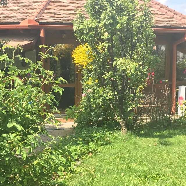 Гостевой дом Casa Lecca Сибиу-46