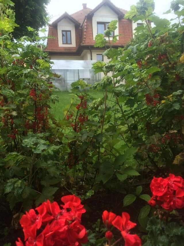 Гостевой дом Casa Lecca Сибиу-47